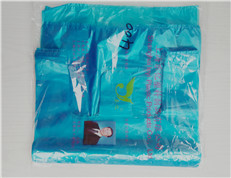 購(gòu)物袋 購(gòu)物袋